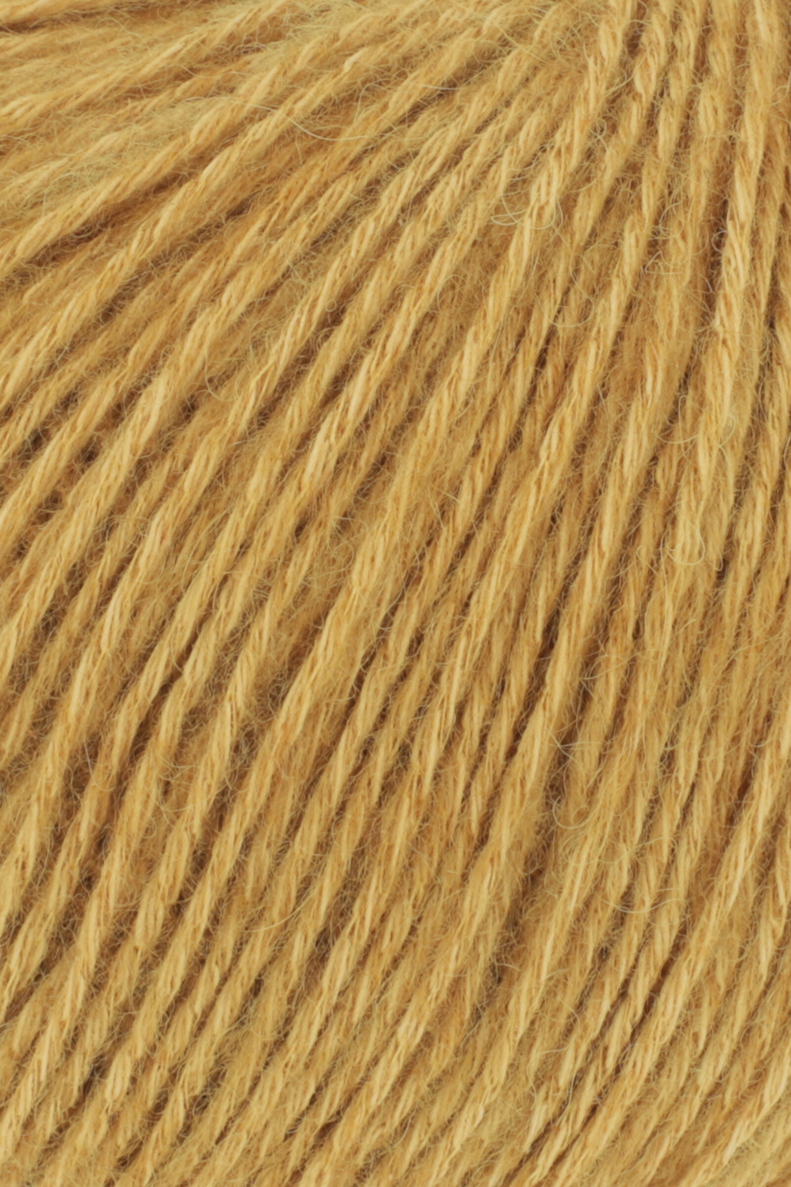 REGINA Farbmuster 1093.0050