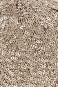 PAILLETTES 39.0026