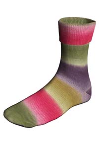 SUPER SOXX COLOR 4-FACH 901.0509 SUPER SOXX COLOR 4-FACH 901.0509