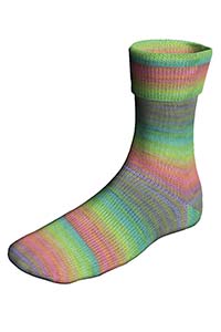 SUPER SOXX COLOR 6-FACH/PLY 910.0529